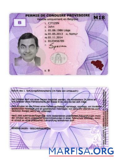 Downloadable Belgium provisional driving license example